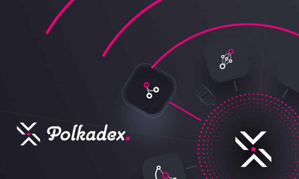 Polkadex Red principal