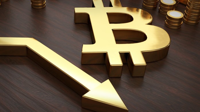 Bitcoin Rallies and Crashes - BumbleBeeCrypto