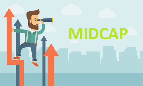 CỔ PHIẾU MIDCAP TIỀM NĂNG TRÊN THỊ TRƯỜNG CHỨNG KHOÁN - HVA Group