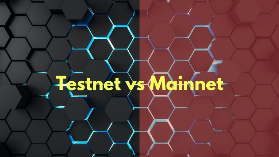Mainnet là gì? Những phân tích chuyên sâu về mainnet và testnet