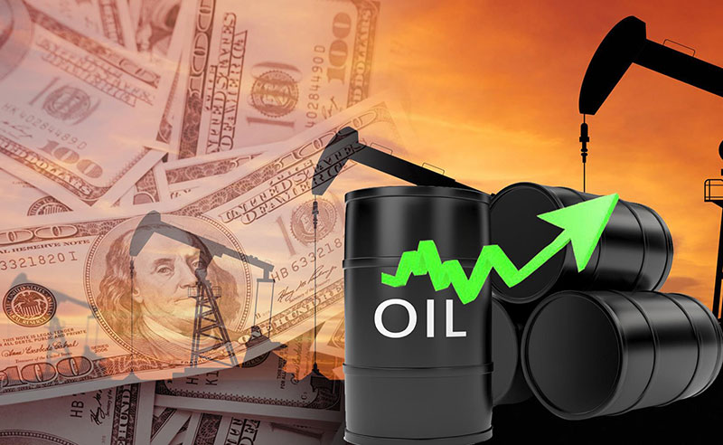 Giao dịch dầu thô WTI - Gia Cát Lợi
