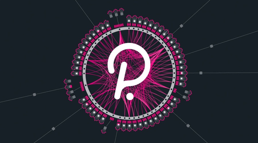 A Beginners Guide to Polkadot (DOT)