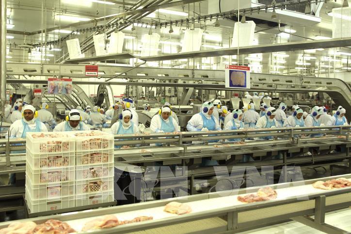 JBS sẽ đầu tư 1,9 tỷ USD vào các nhà máy thực phẩm tại Brazil