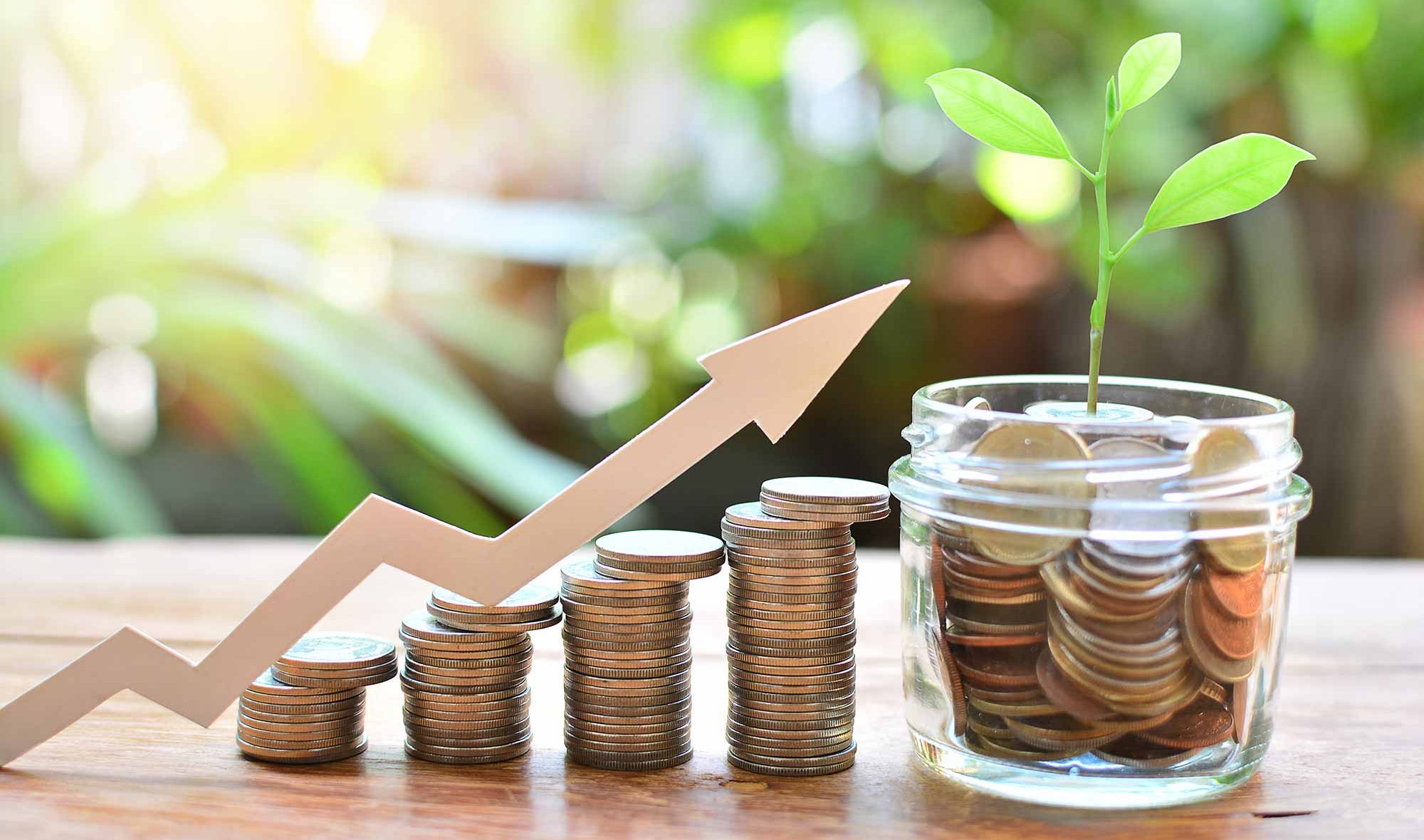 What is a Money Market Fund: Meaning, Types & How to Invest | Nivesh