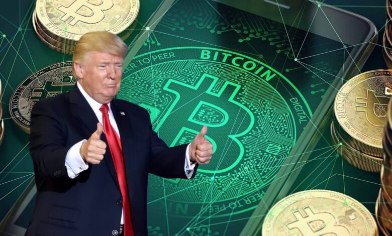 Bitcoin and Crypto Stocks Continue 'Trump Trade' Surge - Wealthy Venture  Capitalist