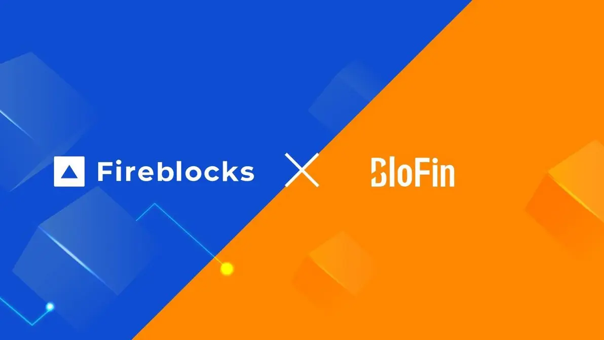 BloFin Exchange Dashboard Interface Overview